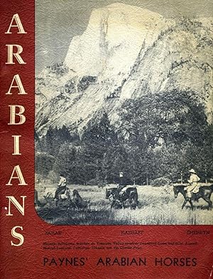 Arabians. Paynes' Arabian Horses