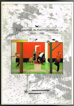 The Animal in Photography, 1843-1985