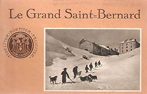 Le grand saint Bernard