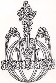 Floral Motif.