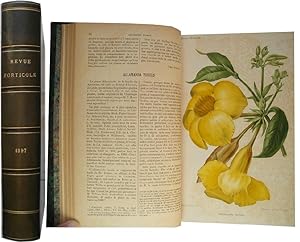 Revue horticole. Journal d'horticulture pratique. - 69e année, 1897.