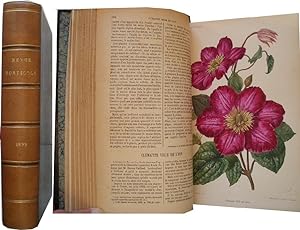 Revue horticole. Journal d'horticulture pratique. - 71e année, 1899.