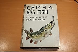 Catch a Big Fish