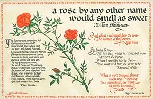 A calligraphic panel on vellum with a watercolor of a stem of roses surrounded by poems and verse...