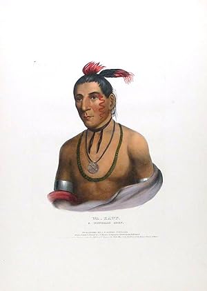 Wa-kawn, a Winnebago Chief