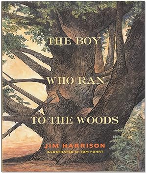 The Boy Who Ran To The Woods.
