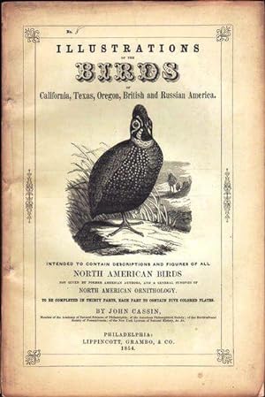 Illustrations of the Birds of California, Texas, Oregon, British and Russian America. Fascicule 8...