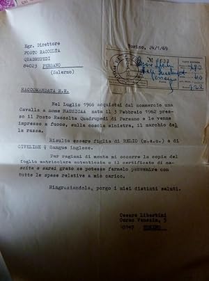 Lotto Documenti "Cavallo RAZZA PERSANO - NAUSICAA, Ministero della Difesa , Ispettorato del Servi...
