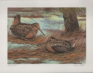 1986 Conservation Stamp Print No. 8: American Woodcock series print No. 2