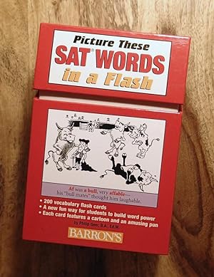 PICTURE THESE SAT WORDS IN A FLASH : 200 Vocabulary Flash Cards