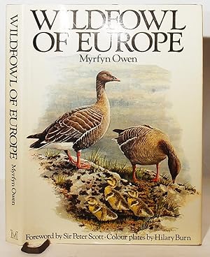 Wildfowl of Europe.