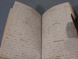 1859 HANDWRITTEN MANUSCRIPT DIARY BY AN OBSERVANT YOUNG WESTERN NEW YORK STATE WOMAN - A TREASURE...