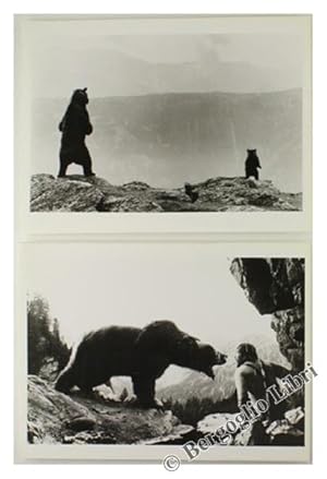 L'ORSO - L'OURS: DUE FOTO ORIGINALI.: