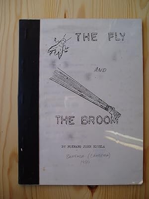 The Fly and the Broom