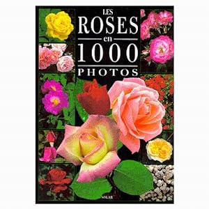 Les Roses en 1000 Photos.