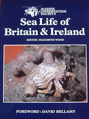 SEA LIFE OF BRITAIN & IRELAND