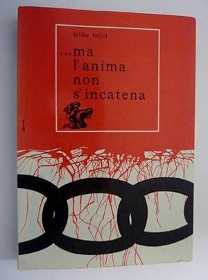 ".MA L'ANIMA NON S'INCATENA. Il lento martirio di Suor MARIA CAPRINI ( Pia Madre della Nigrizia )...