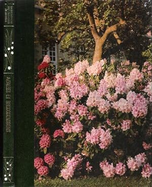 Rhododendrons : Azalées et Camellias