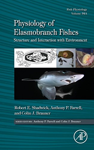 Physiology of Elasmobranch Fishes : Structure and Interaction With Environment: Fish Physiology