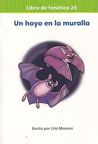 Mivision Lectura 2020 Decodable Book 26 Grade K: Un Hoyo En La Muralla
