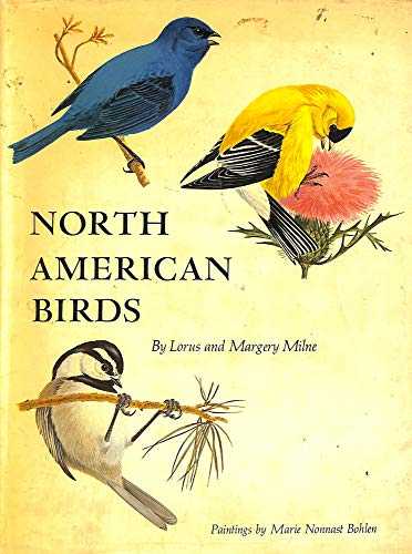 NORTH AMERICAN BIRDS