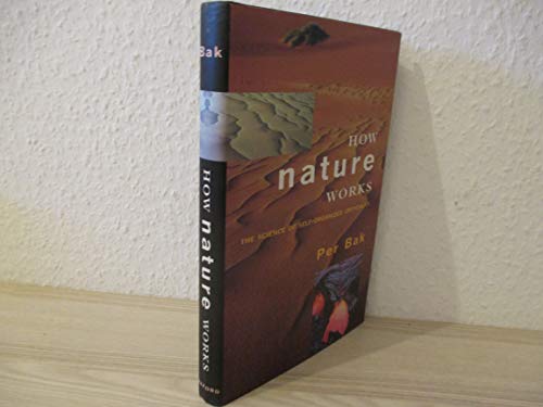 How Nature Works: The Science of Self-organized Criticality