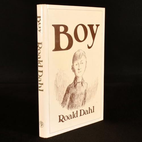 Boy Tales of Childhood