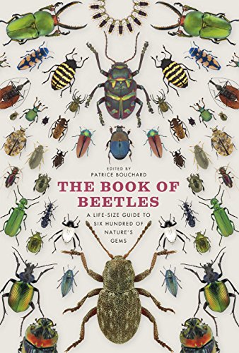 Book of Beetles : A Life-size Guide to Six Hundred of Nature's Gems