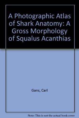 A Photographic Atlas of Shark Anatomy: The Gross Morphology of Squalus Acanthias
A Photographic Atlas of Shark Anatomy: The Gross Morphology of Squalus Acanthias