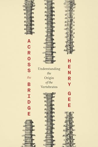 Across the Bridge: Understanding the Origin of the Vertebrates
