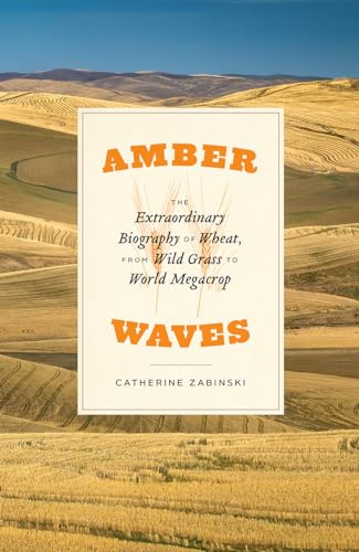 Amber Waves: The Extraordinary Biography of Wheat, from Wild Grass to World Megacrop
Amber Waves: The Extraordinary Biography of Wheat, from Wild Grass to World Megacrop