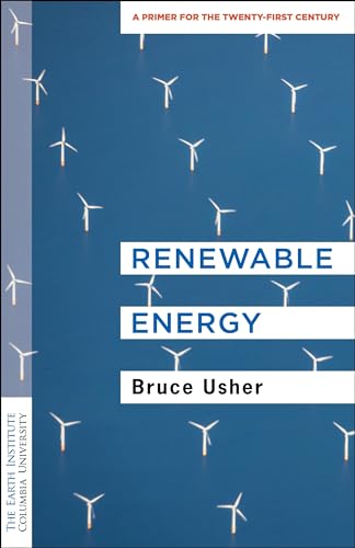 Renewable Energy : A Primer for the Twenty-first Century
