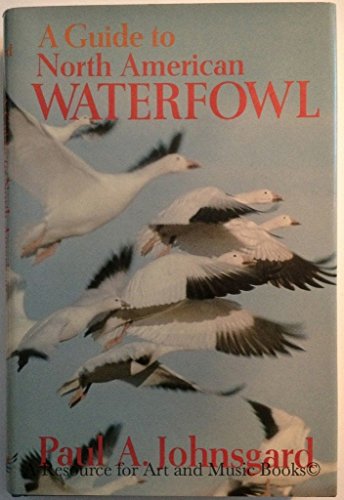 A Guide to North American Waterfowl