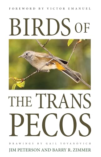 Birds of the Trans-Pecos (Corrie Herring Hooks Series)