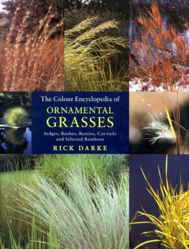 The colour encyclopedia of ornamental grasses; sedges, rushes, restios, cat-tails and selected ba...