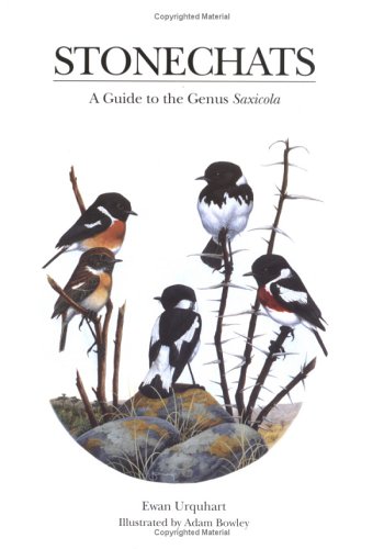 Stonechats: A Guide to the Genus Saxicola