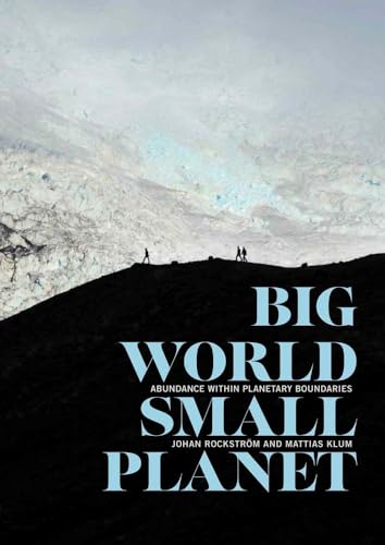 Big World, Small Planet: Abundance within Planetary Boundaries
