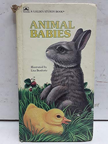 Animal Babies (Golden Books)