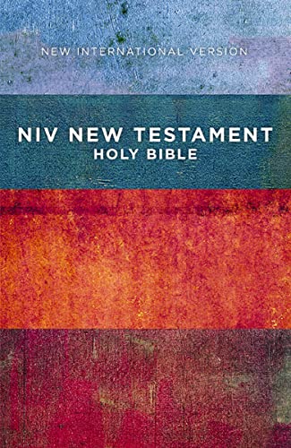 Outreach New Testament: New International Version, Red / Blue Stripes