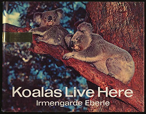 Koalas Live Here