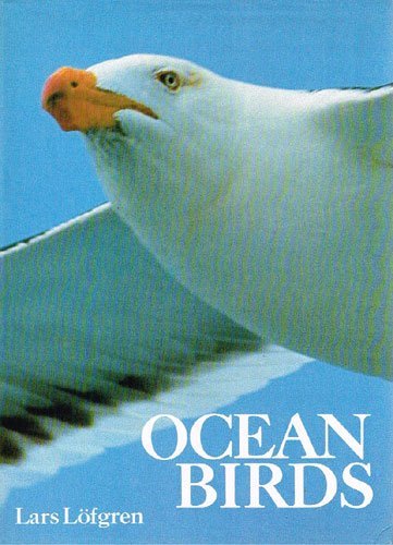 Ocean birds