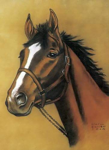 Horse Notebook Paperback