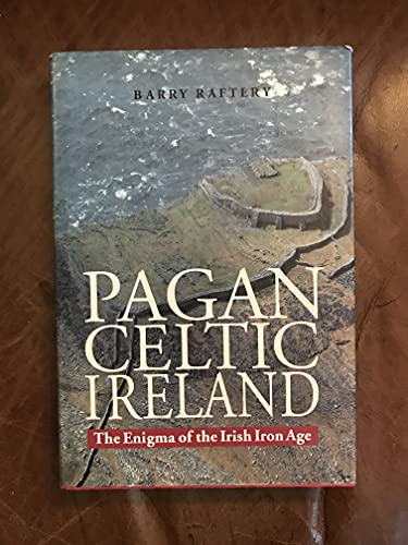 Pagan Celtic Ireland: The Enigma of the Irish Iron Age