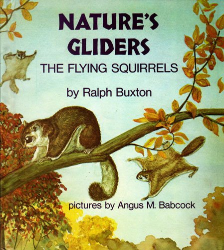 Nature's Gliders: The Flying Squirrels