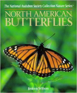 North American Butterflies - The National Audubon Society Collection Nature Series
