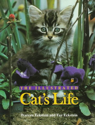 The Illustrated Cat's Life