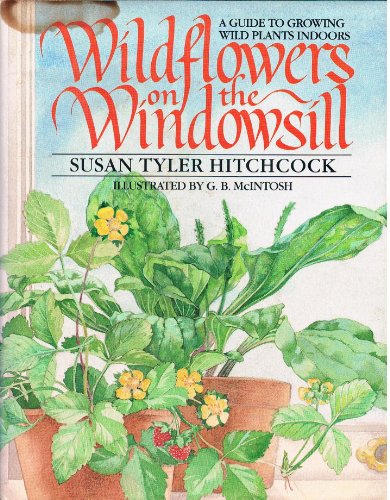 WILDFLOWERS ON THE WINDOWSILL