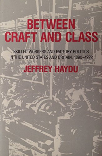 Between Craft and Class: Skilled Workers and Factory Politics in the United States and Britain, 1...