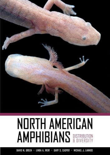 North American Amphibians : Distribution and Diversity