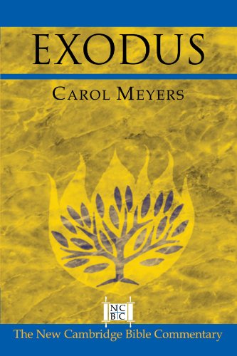 Exodus: The New Cambridge Bible Commentary
